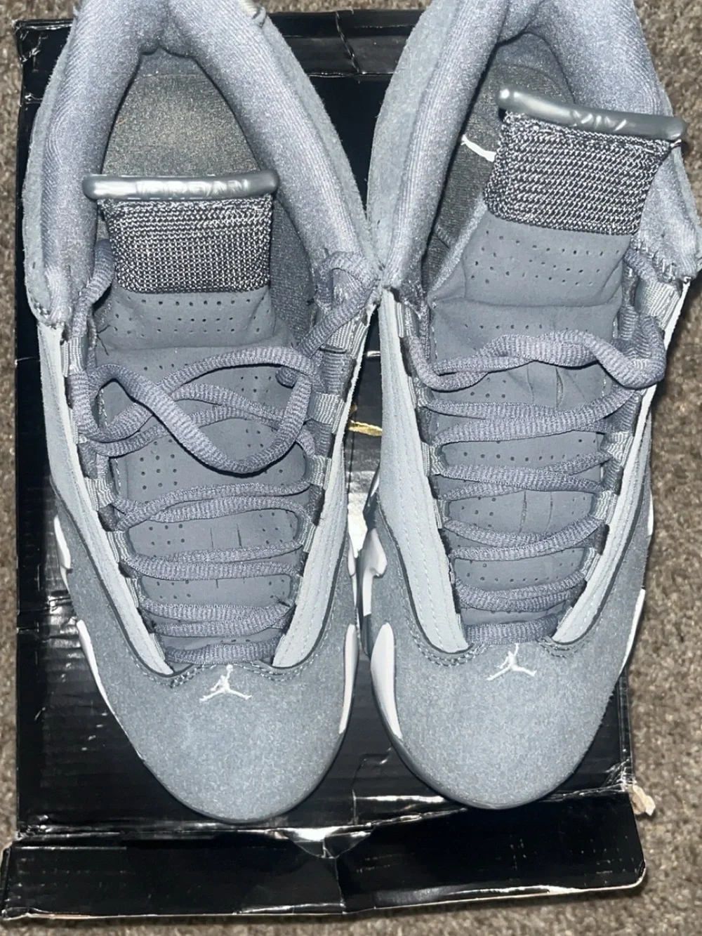 Jordan Men’s Low-Top Sneakers in Gray